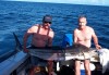 Exmouth Black Marlin